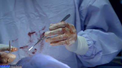 Mãos Talentosas – A História de Ben Carson-dublado-2009-1080p