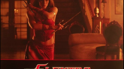 2005 - Elektra  (0.135)