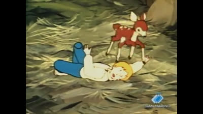 17 Il cucciolo - Sognando Boston