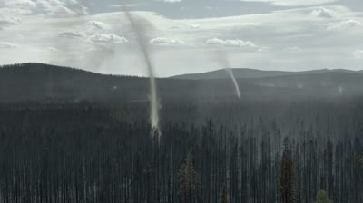 David Attenborough: A Life on Our Planet - A Testament to Nature’s Wonders