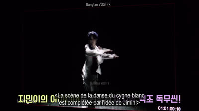 (VOSTFR) ''Black Swan'' MV Making FILM