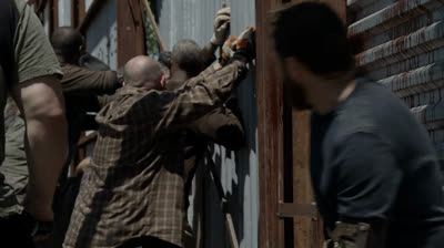 twd 11x5 latino