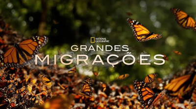 ▶️Grandes Migrações (1ª Temporada) - Episódio 1 Nascidos Para Migrar