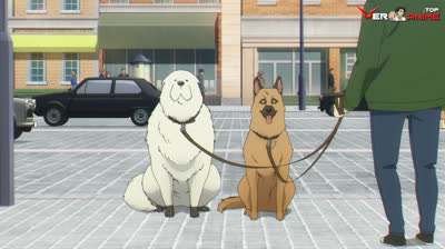 Spy x family (Capi. 13) - Proyecto Apple (Latino)