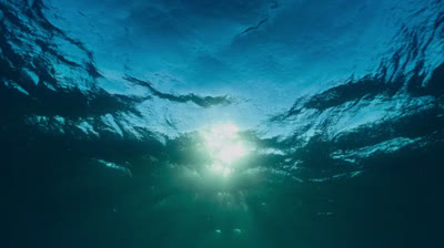 Planeta prehistórico: 1- Costas