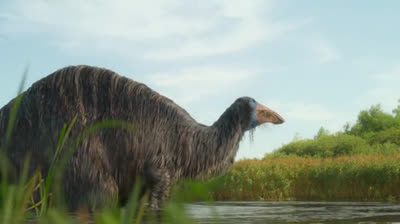 Planeta prehistórico: 3- Agua dulce