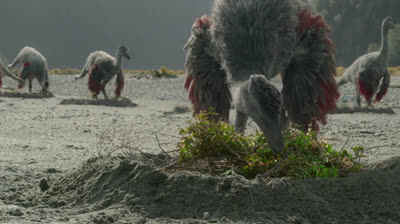 Planeta prehistórico: 4- Mundos de hielo