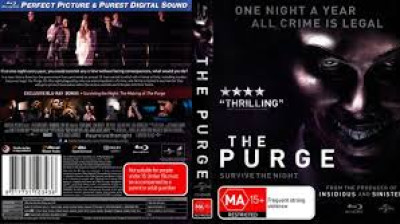 Uma Noite de Crime (2013)