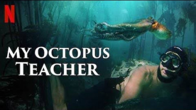 My Octopus Teacher (2020) Crime Documentary Full Movie HD