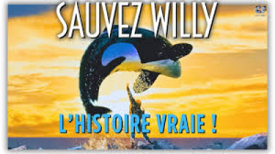 Sauvez Willy (1993)