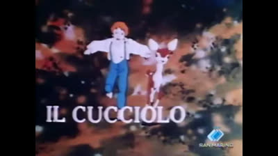 30 Il cucciolo - Dopo la grande tempesta