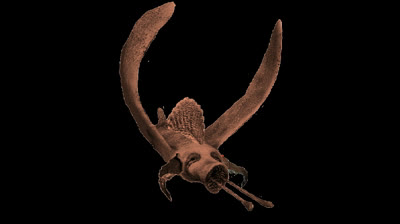 ¿quien es el chupador infernal?  (demonio original).mp4