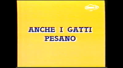 04 Ciao, io sono Michael! Anche i gatti pesano