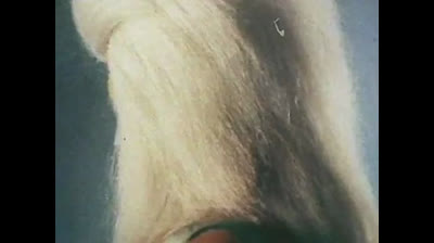 Megaloman 19 Il segreto delle squame