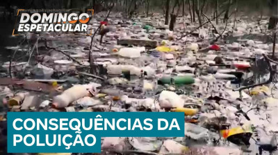 Planeta em Perigo 12: Os efeitos nocivos da poluição