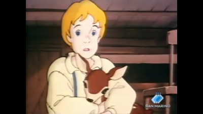 36 Il cucciolo - Il lupo solitario