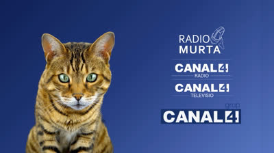 Promo 4 Gatos, Tigres Canal 4