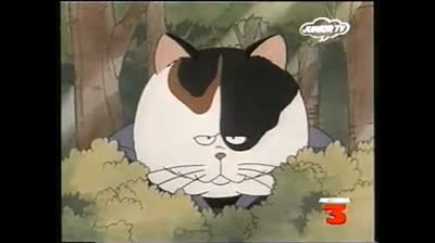 13 Ciao, io sono Michael! Biancaneve e i sette gatti