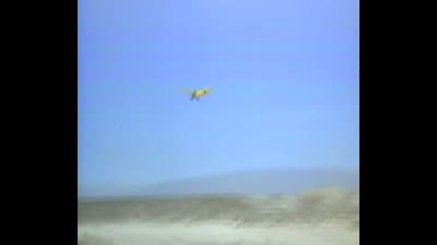 The Danzer Zone 1987