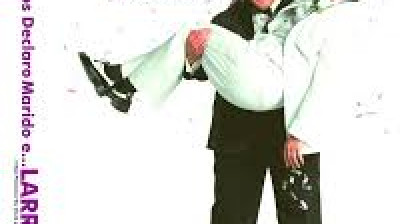 Eu os Declaro Marido e Larry (2007)
