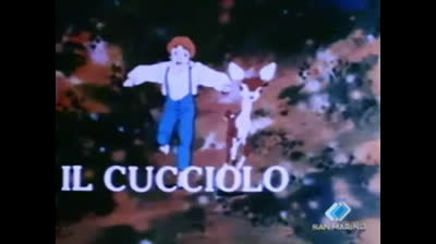 40 Il cucciolo - Diventare adulti