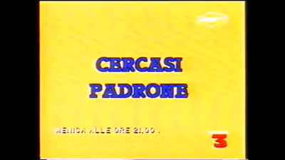 16 Ciao, io sono Michael! Cercasi padrone