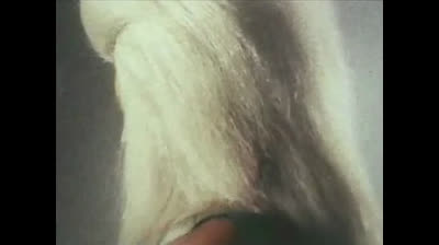 Megaloman 23 Prigionia infernale