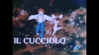 42 Il cucciolo - La stagione degli amori