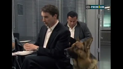 Il commissario Rex 05x05