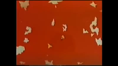 Judo boy   Sigla Integrale 1980