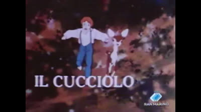 48 Il cucciolo - Il cavaliere spagnolo