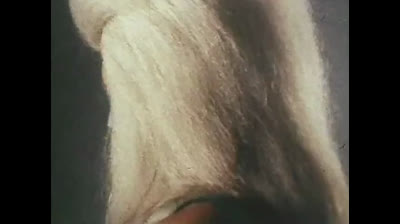 Megaloman 28 Il scarificio di Hyme