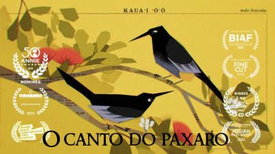 O canto do paxaro