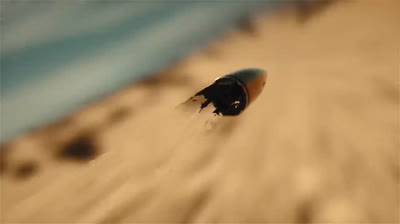 Victor mendivi - jacobo grinberg (video oficial)