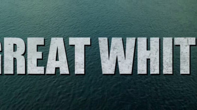 Great white_2021
