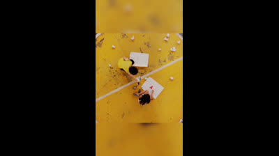 fiz de tudo pra fugir disso