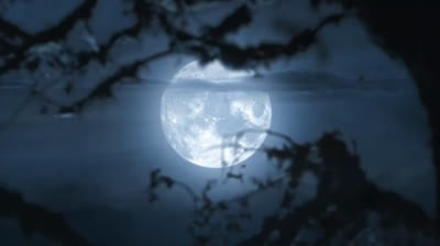 Inteligencia Artificial - 4ta parte