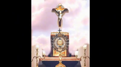 Si estás desolado, debes ver este vídeo