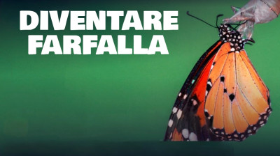 Diventare farfalla [HD]