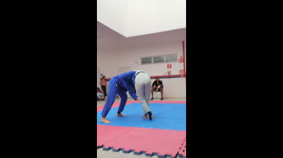 Percy Jackson e o ladrão de raios