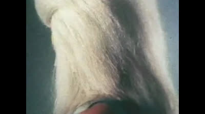 Megaloman 31 L ultima sfida