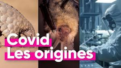 Covid, le secret des origines