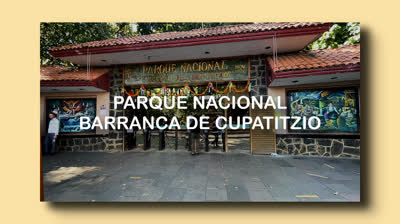 PARQUE NACIONAL BARRANCA DEL CUPATITZIO, MICHOACÁN, MÉXICO.