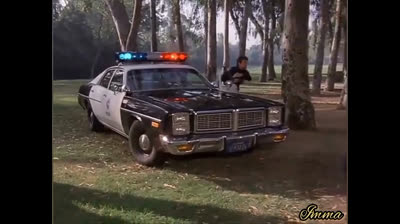 Adrian Zmed-Officer Romano in action